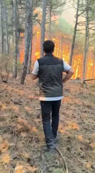 Cehennem çemberinden çıkamadılar: Orman yangınında şehit olan 10 kahramanın isimleri belli oldu 8