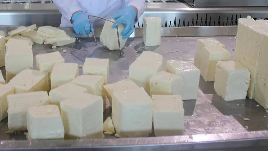Bakanlık o işletmeleri ifşa etti: İki ilimizde at ve eşek demediler vatandaşa yedirdiler! 8
