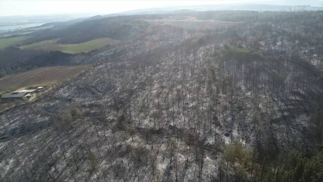 Tekirdağ'daki orman yangını kontrol altına alındı: İşte iki gün süren yangından geriye kalan... 5