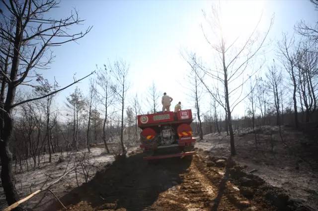 Tekirdağ'daki orman yangını kontrol altına alındı: İşte iki gün süren yangından geriye kalan... 1