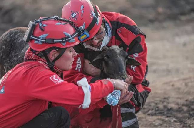 Tekirdağ'daki orman yangını kontrol altına alındı: İşte iki gün süren yangından geriye kalan... 7