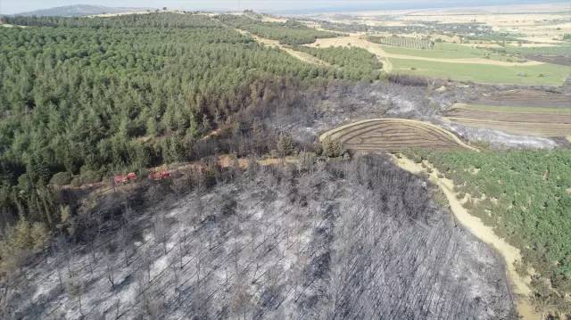 Tekirdağ'daki orman yangını kontrol altına alındı: İşte iki gün süren yangından geriye kalan... 3