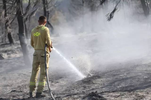 Tekirdağ'daki orman yangını kontrol altına alındı: İşte iki gün süren yangından geriye kalan... 2