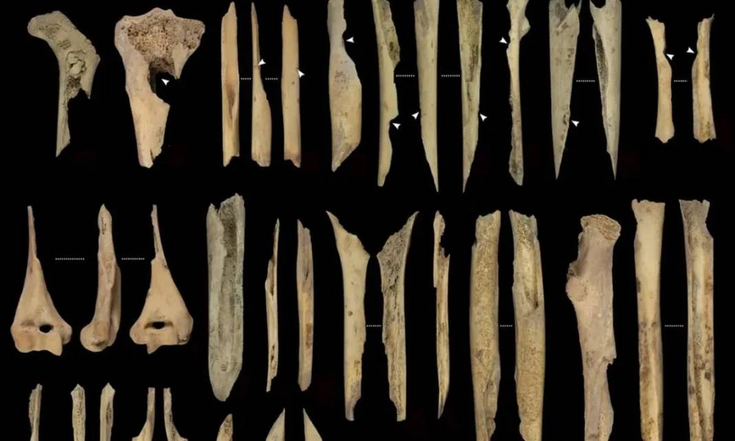 Yamyamlık mı işkence mi? 5.700 yıllık pişirilmiş insan kalıntıları ortaya çıktı! 3