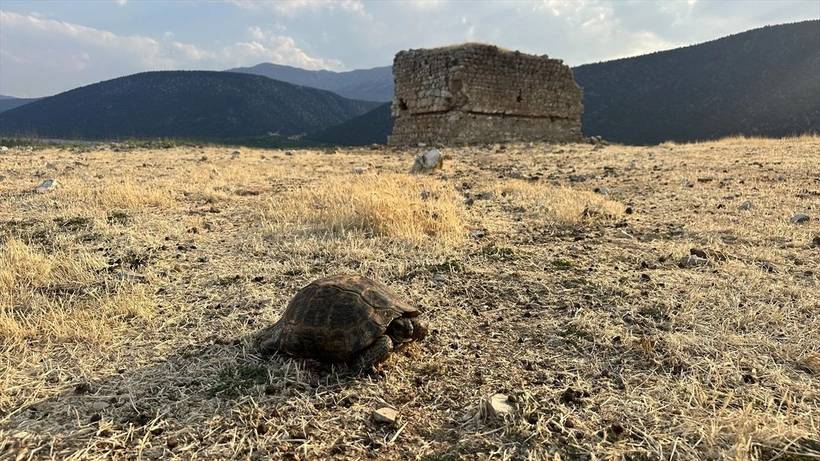 Türkiye'de kuraklığın arttığı iller açıklandı! O iller için tehlike çanları çalmaya başladı 2