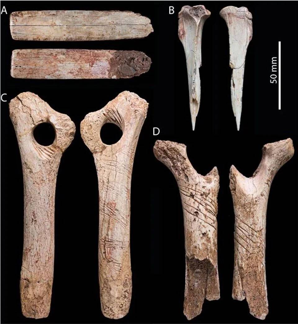 Yamyamlık mı işkence mi? 5.700 yıllık pişirilmiş insan kalıntıları ortaya çıktı! 4