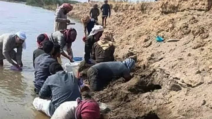 Sular çekildi sap sarı altın ortaya çıktı! Kazma küreği kapan altın aramak için nehir kenarına koştu 1