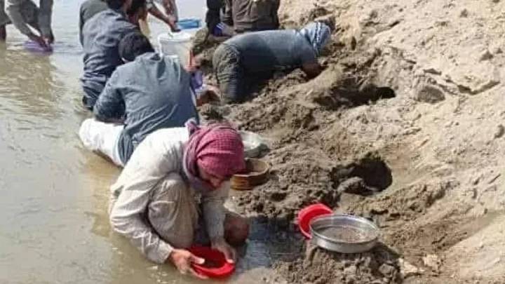Sular çekildi sap sarı altın ortaya çıktı! Kazma küreği kapan altın aramak için nehir kenarına koştu 3