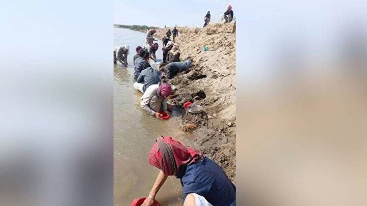 Sular çekildi sap sarı altın ortaya çıktı! Kazma küreği kapan altın aramak için nehir kenarına koştu 5