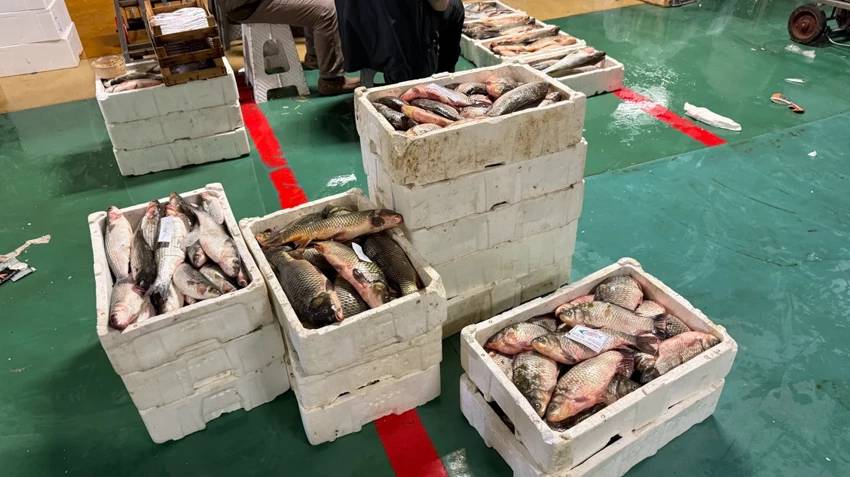 Av yasağı bitti: Balıkçılar 'Vire bismillah' dedi! 6