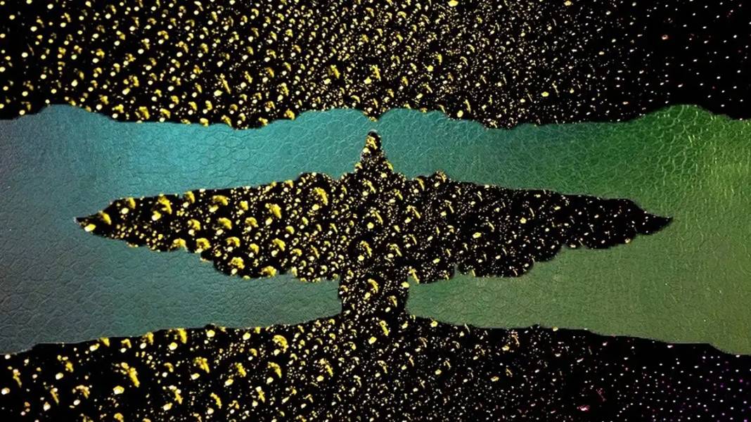 Kişilik testi: İlk gördüğünü söyle hafıza yapını ölç! İlk gördüğün timsah mı, kartal mı? 1