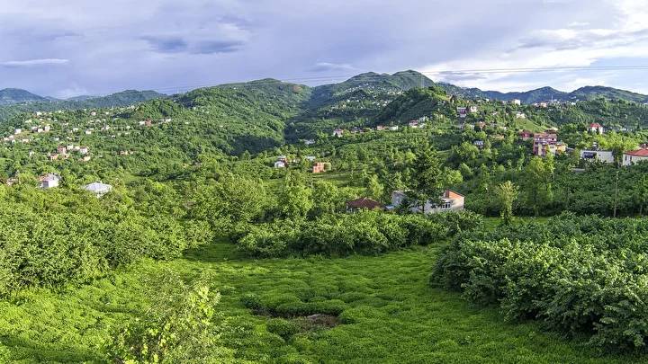 Giresun'un ismi değişiyor mu? Kampanya başlatıldı imzalar toplandı, yeni ismi bile belli oldu 3