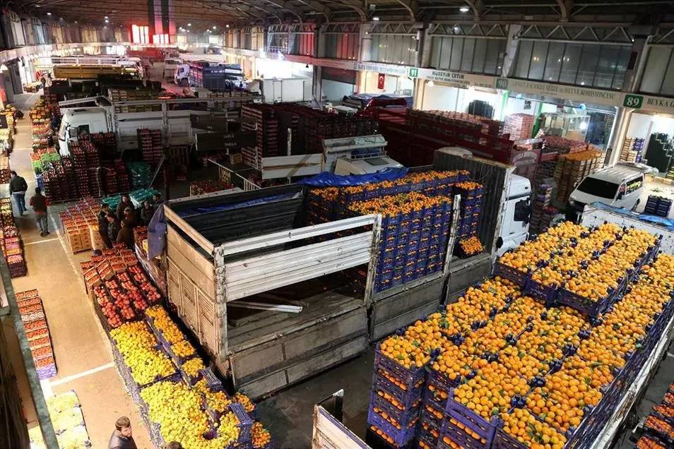 Büyük ucuzluk yaşanacak! Hal Kanunu Taslağı konusunda sona gelindi 3