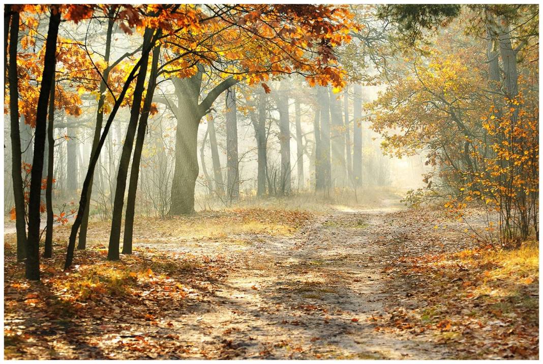 Meteoroloji son tahminlerini açıkladı: O bölgelerde hava sıcaklığı yükseliyor, bugün hava nasıl, perşembe günü hava nasıl olacak? 2