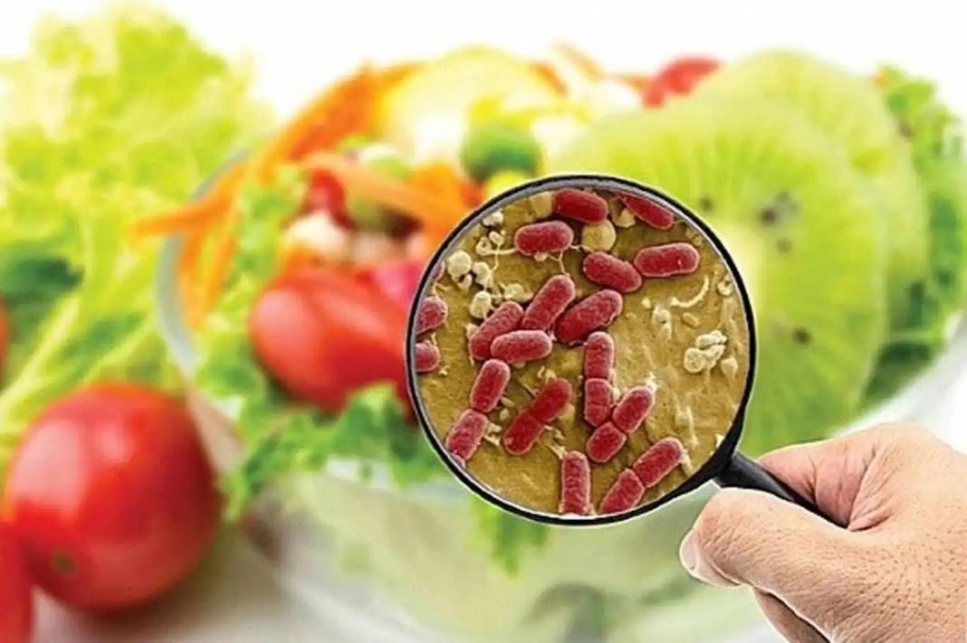 Peş peşe gıda zehirlenmeleri bakanlığı ayağa kaldırdı: İşte önemli uyarılar! 3