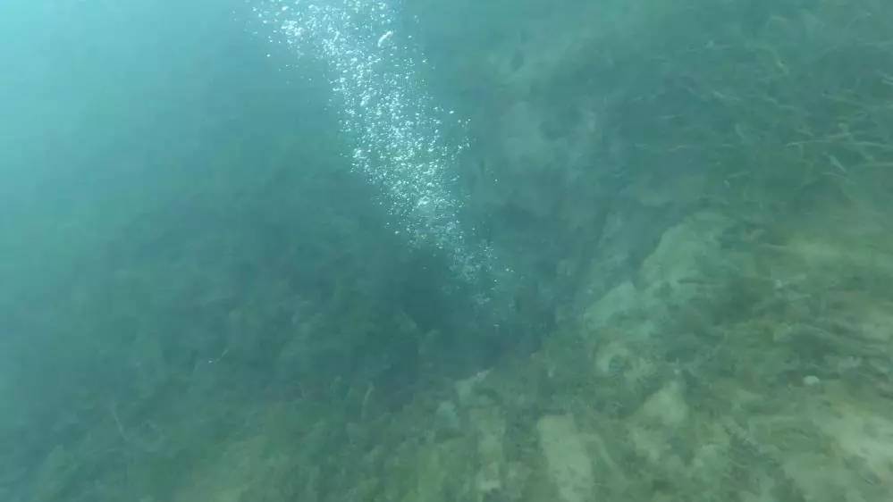 Deprem uzmanı Şener Üşümezsoy oraya dikkat çekmişti: Sapanca gölü'nün derinlikleri fokur fokur kaynıyor! 4