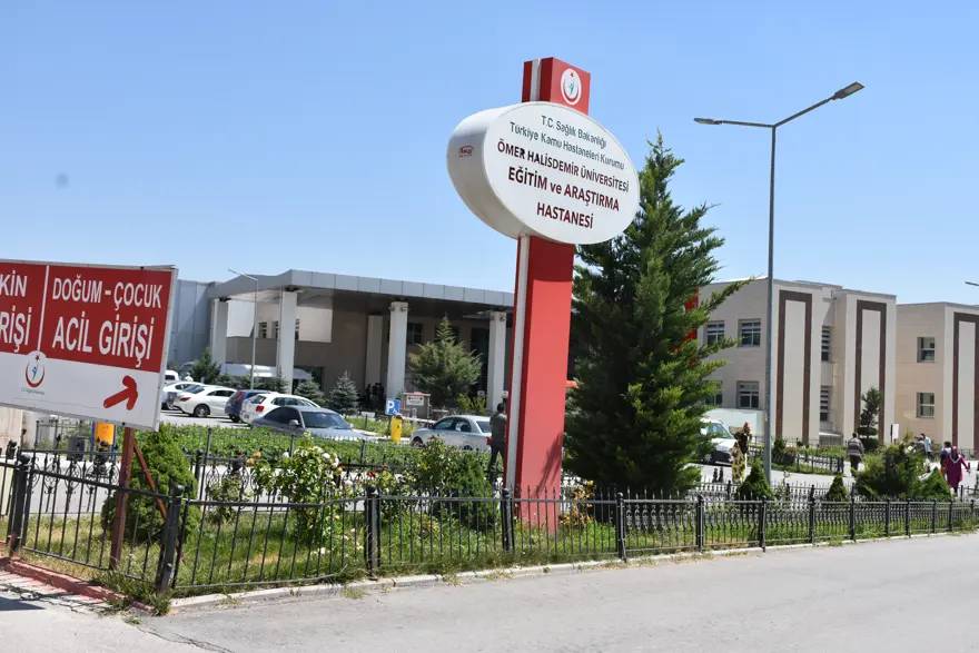 Güzelavrat otunu ıspanak sanıp yediler: Zehirlenen 11 kişi hastanelik oldu, biri yoğun bakımda! Güzelavrat otu nedir? 3