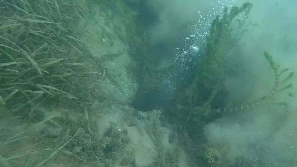 Deprem uzmanı Şener Üşümezsoy oraya dikkat çekmişti: Sapanca gölü'nün derinlikleri fokur fokur kaynıyor! 5