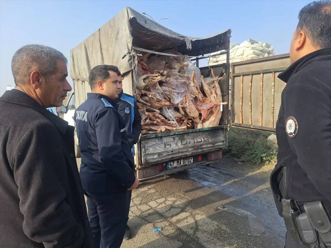 Zabıtalar bile gördüklerine inanamadı! Yakalanmasalardı 1 ton 900 kilo bozulmuş eti vatandaşa yedireceklerdi 1