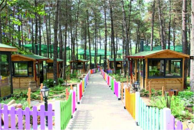 Pendik Belediyesi Büyükşehirlerle Yarışıyor! Yatırımlar, Projeler ve Sosyal Desteklerle Dolu Bir Yıl Daha Geride Kaldı 7