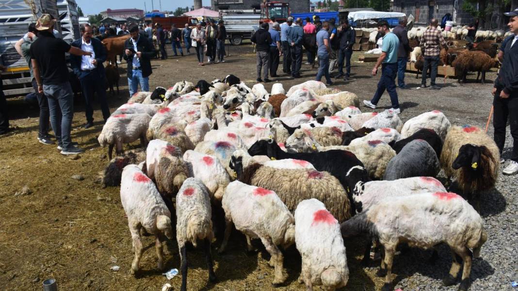 Kurban Bayramı 2026 ne zaman? Bayram tatili 9 gün olacak mı? İşte takvim... 1