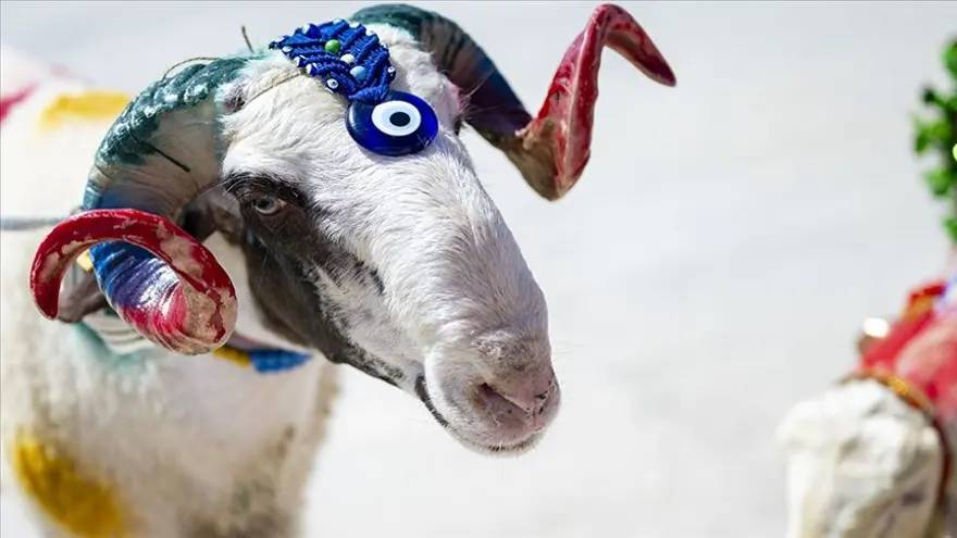 Kurban Bayramı 2026 ne zaman? Bayram tatili 9 gün olacak mı? İşte takvim... 2