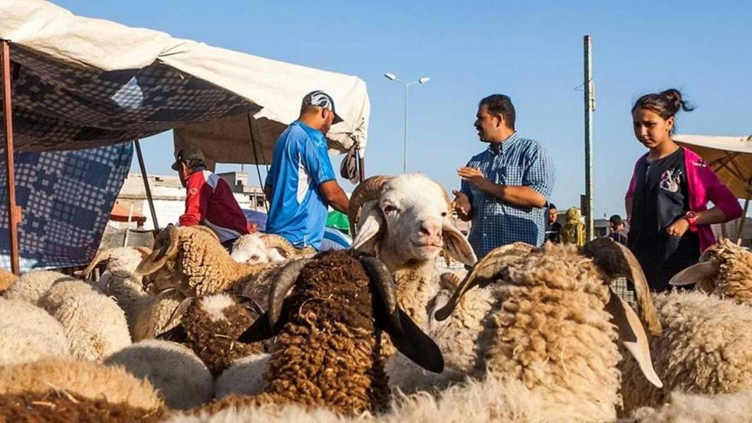 Diyanet İşleri Başkanlığı duyurdu: Vekaletle kurban kesim bedelleri belli oldu 3