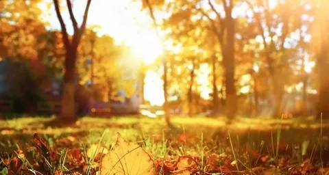 Meteoroloji açıkladı: Kavuracak sıcaklıklar geliyor! Bugün hava nasıl, çarşamba günü hava nasıl olacak? 2