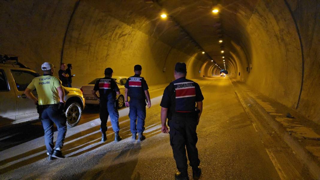 Tünelde ayı paniği: Otomobilin çarptığı yaralı ayı ortalığı birbirine kattı! 2