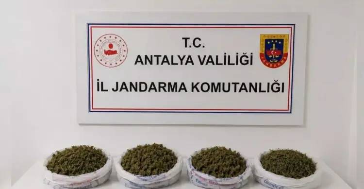 Jandarmadan 24 ilde soluk kesen narkotik operasyon: 138 şüpheli yakalandı 10