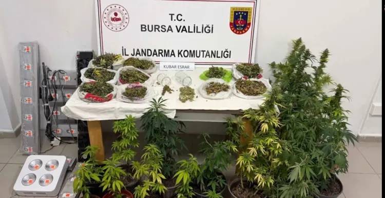 Jandarmadan 24 ilde soluk kesen narkotik operasyon: 138 şüpheli yakalandı 13