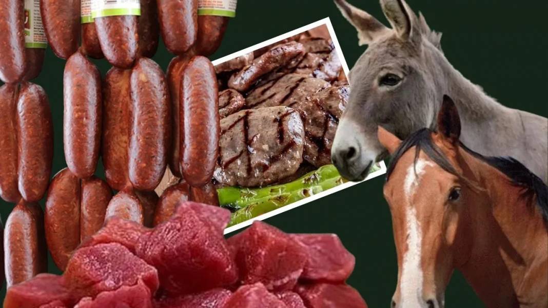 Ünlü markanın sucuklarında skandal gerçek: At ve eşek eti tespit edildi 7