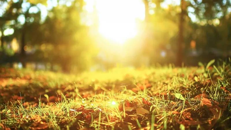 Hafta sonu güneş pırıl pırıl parlayacak: Bugün hava nasıl, cumartesi hava nasıl olacak? 7