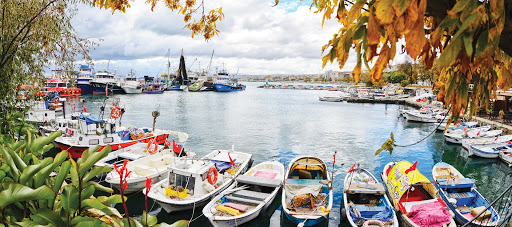 Tekirdağ nüfusu ne kadar? Tekirdağ ilçe nüfusları 2021 3