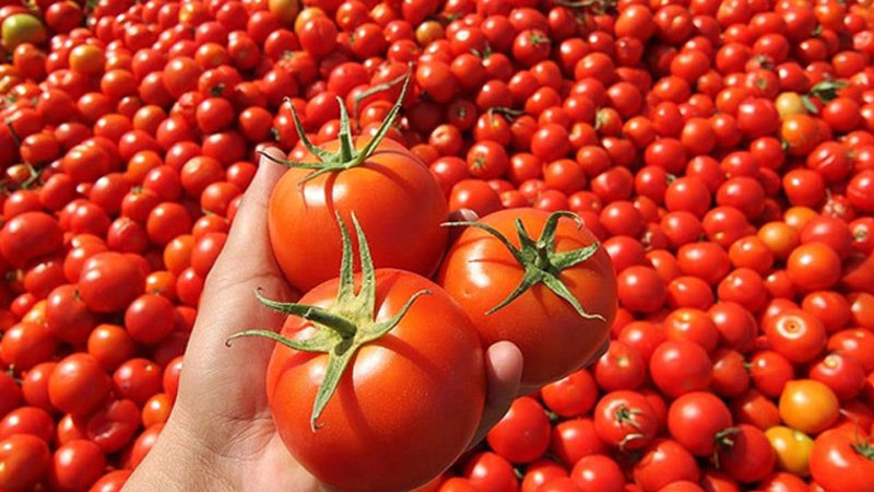 Bu besinleri açken tüketmeyin! 8