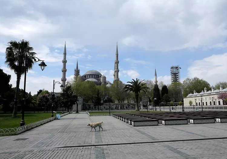 İstanbul'un tarihi mekanları koronavirüs sessizliğine büründü 13