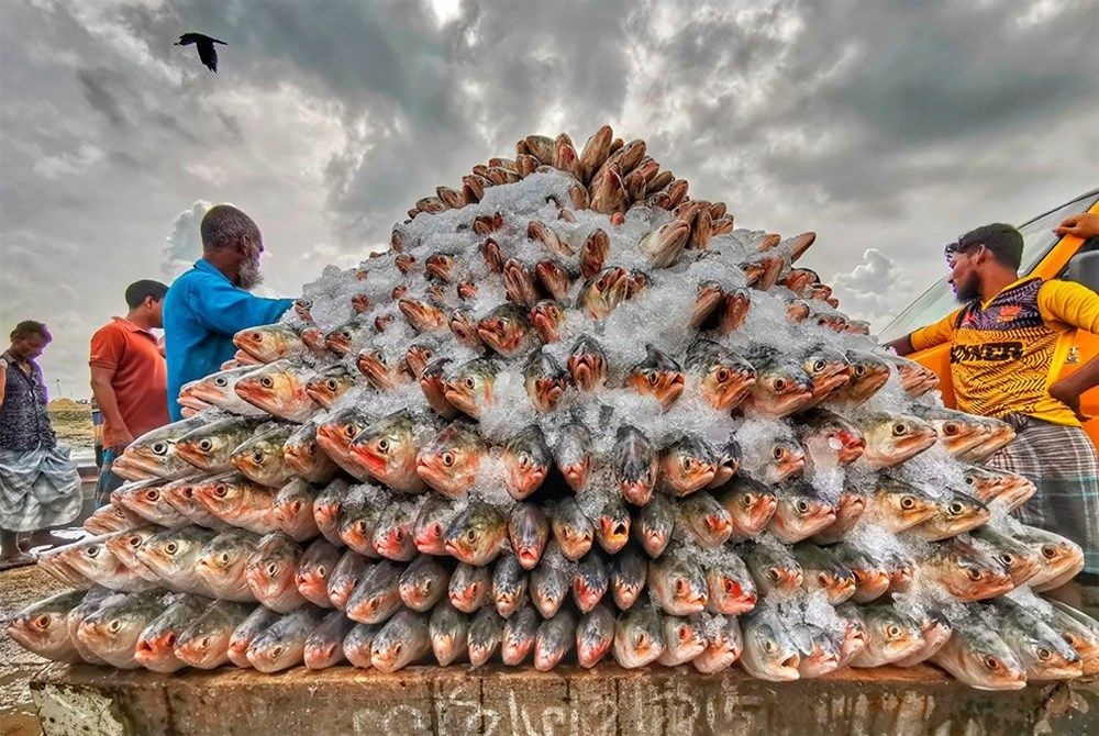 Yılın Yemek Fotoğrafçıları Yarışması'nın kazananları belli oldu! İşte o kareler 6