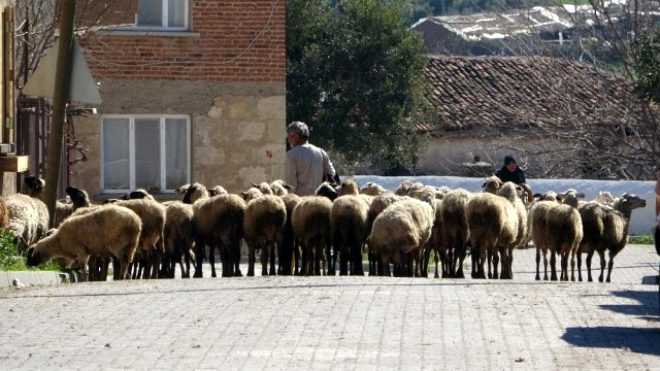 Çanakkale'de ilginç köy! İsminden dolayı buraya gelen turistler soyunuyor 6