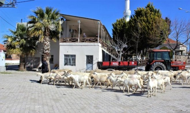 Çanakkale'de ilginç köy! İsminden dolayı buraya gelen turistler soyunuyor 8