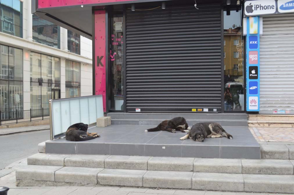 İstanbul'da tarihinin en sessiz bayramı! Sokaklar bomboş, her yer kapalı.. 14