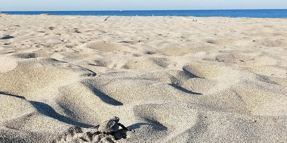 Seyahat yasakları ne zaman kalkıyor? İşte yeni adımların atılacağı tarih.. 9