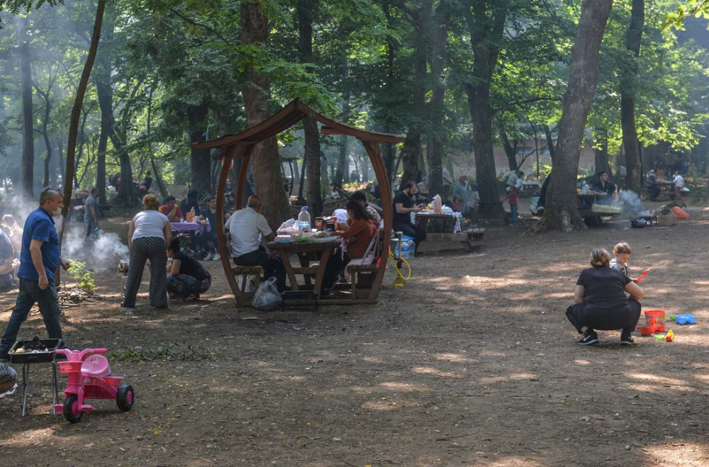 İstanbullular piknik yapmak için Belgrad Ormanına akın etti 11