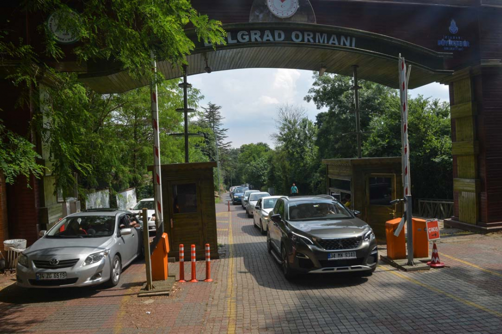 İstanbullular piknik yapmak için Belgrad Ormanına akın etti 12