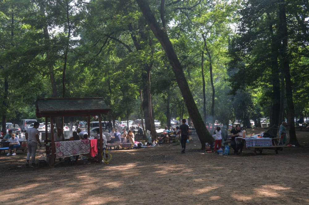 İstanbullular piknik yapmak için Belgrad Ormanına akın etti 14