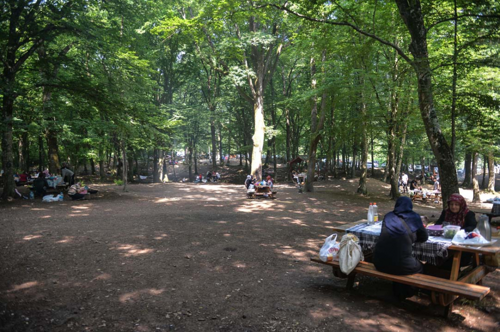 İstanbullular piknik yapmak için Belgrad Ormanına akın etti 16