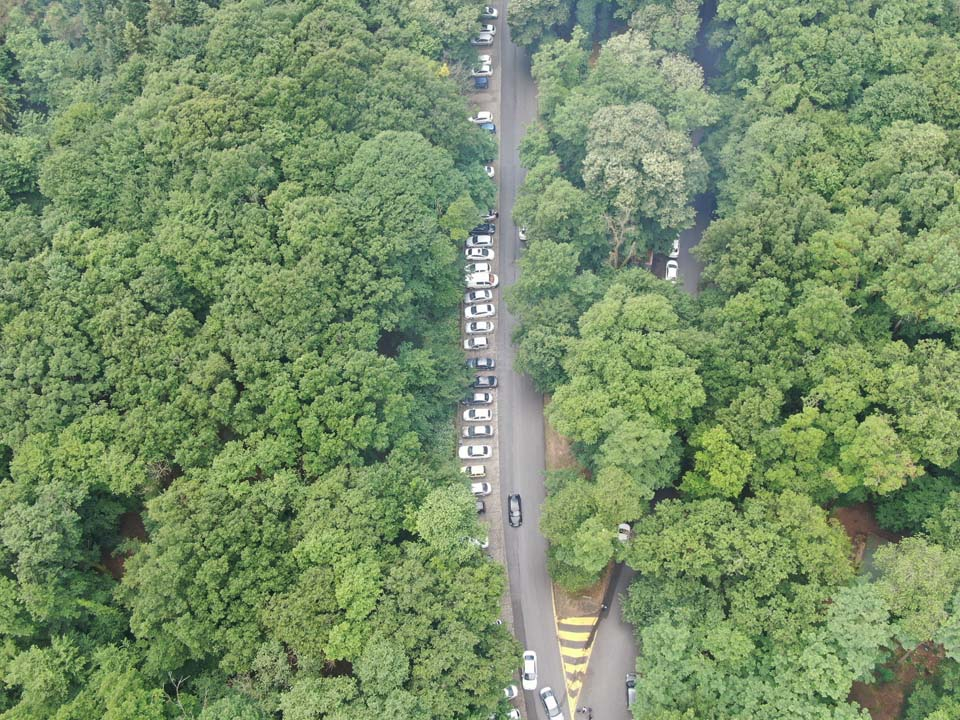 İstanbullular piknik yapmak için Belgrad Ormanına akın etti 2