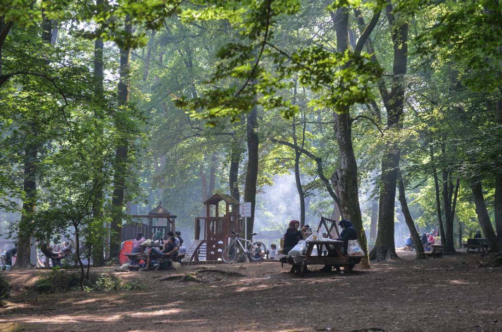 İstanbullular piknik yapmak için Belgrad Ormanına akın etti 4