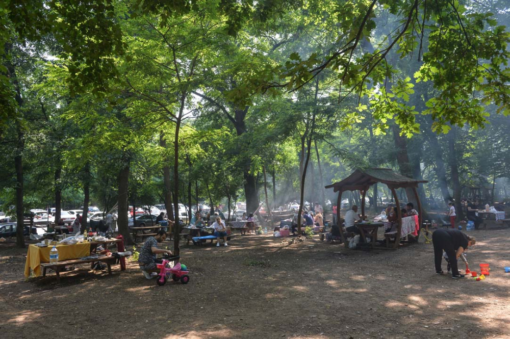 İstanbullular piknik yapmak için Belgrad Ormanına akın etti 5