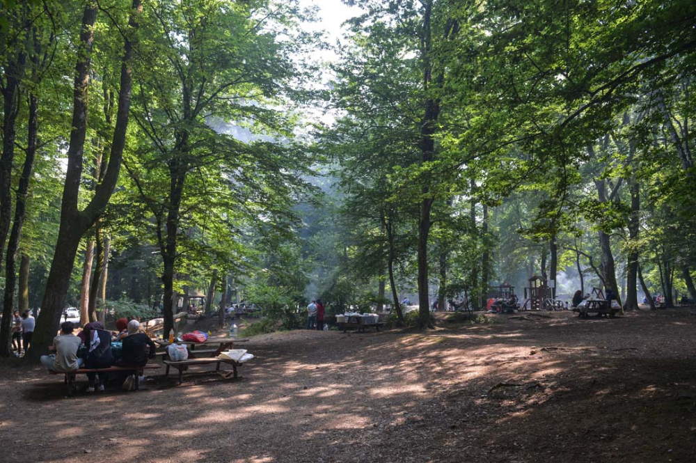 İstanbullular piknik yapmak için Belgrad Ormanına akın etti 6