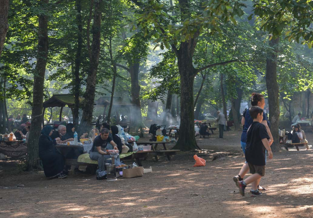 İstanbullular piknik yapmak için Belgrad Ormanına akın etti 7